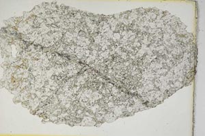 Plane Polarized, S8707