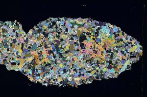 Cross Polarized, S8727