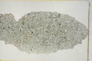 Plane Polarized, S8727