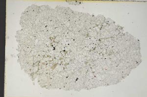 Plane Polarized, S8728