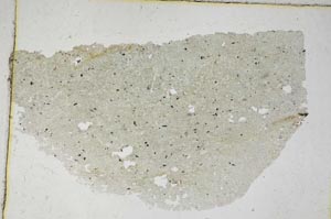 Plane Polarized, S8740