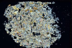 Cross Polarized, S8742