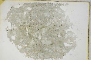 Plane Polarized, S8742