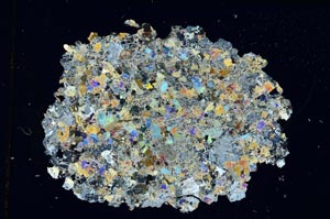 Cross Polarized, S8743