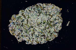 Cross Polarized, S8744