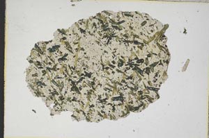 Plane Polarized, S8744