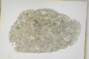 Plane Polarized, S8746