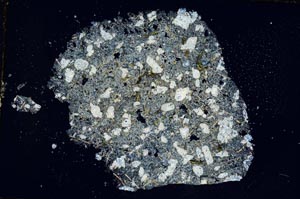 Cross Polarized, S8748