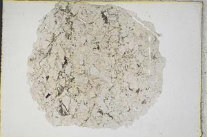 Plane Polarized, S8754