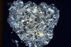 Cross Polarized, S8755