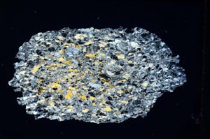 Cross Polarized, S8756