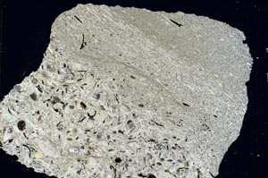 Cross Polarized, S8786