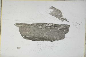 Plane Polarized, S8795