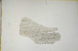 Plane Polarized, S8811/A