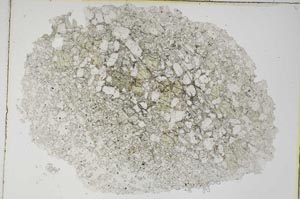 Plane Polarized, S8835