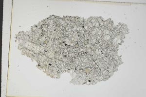 Plane Polarized, S8837