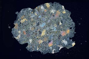 Cross Polarized, S8839