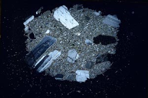 Cross Polarized, S8840