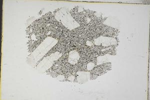 Plane Polarized, S8840