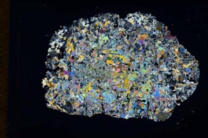 Cross Polarized, S8844