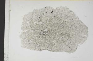 Plane Polarized, S8844