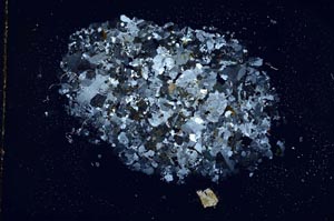 Cross Polarized, S8856