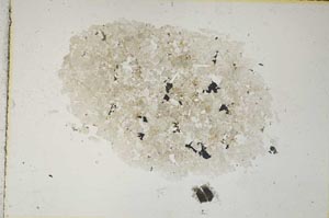 Plane Polarized, S8856