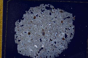 Cross Polarized, S8870