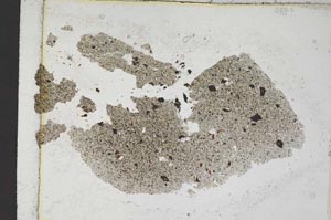 Plane Polarized, S8873