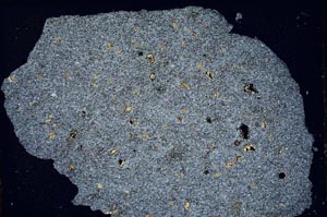 Cross Polarized, S8876