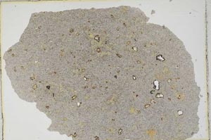 Plane Polarized, S8876