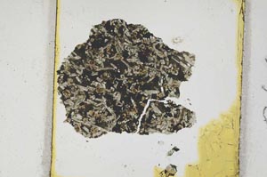 Plane Polarized, S266