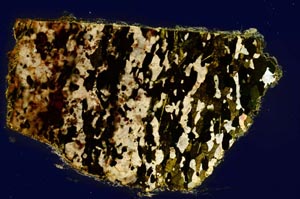 Cross Polarized, S268/A