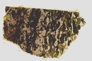 Plane Polarized, S268/A