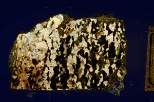 Cross Polarized, S268/B