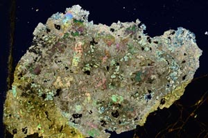 Cross Polarized, S275