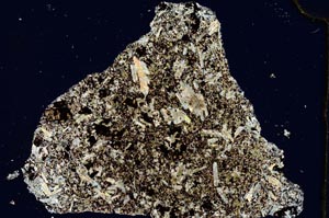 Cross Polarized, S278