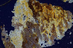 Cross Polarized, S279