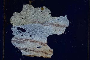 Cross Polarized, S280