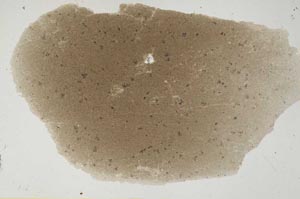 Plane Polarized, S281