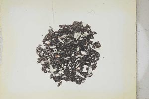 Plane Polarized, S283