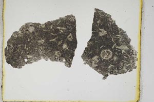 Plane Polarized, S284