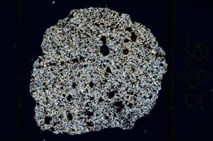 Cross Polarized, S285