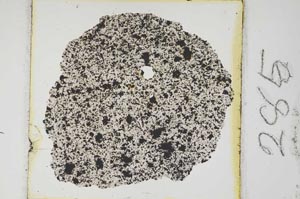 Plane Polarized, S285