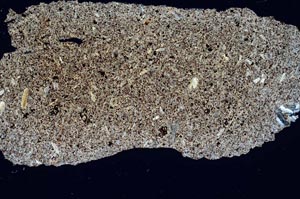 Cross Polarized, S286