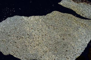 Cross Polarized, S290