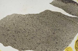 Plane Polarized, S290