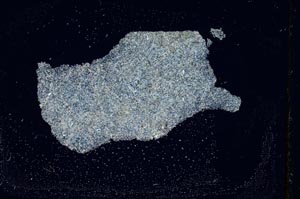 Cross Polarized, S292