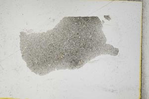 Plane Polarized, S292