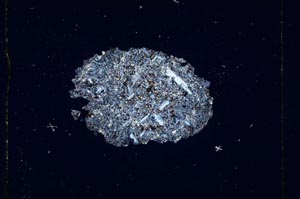 Cross Polarized, S293/A